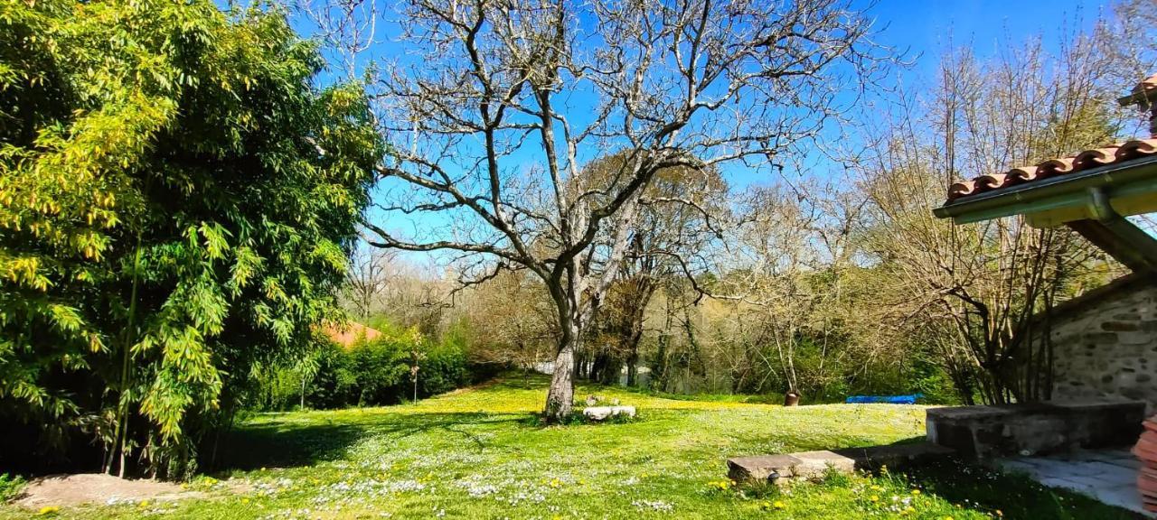 Sauveterre-de-Bearn Entre Galets 아파트 외부 사진